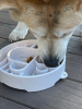 Java eBowl Deep Slow Feeder Dog Bowl for Enrichment