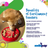 Santa Christmas eBowl Deep Slow Feeder Dog Bowl for Enrichment