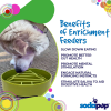 Pine Tree Christmas eBowl Deep Slow Feeder Dog Bowl for Enrichment