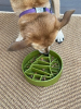 Pine Tree Christmas eBowl Deep Slow Feeder Dog Bowl for Enrichment