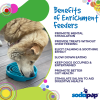 Baja Design eTray - Shallow Slow Feeder Dog Bowl for Enrichment