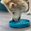 Baja Design eTray - Shallow Slow Feeder Dog Bowl for Enrichment