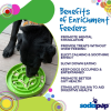 Garden Design eTray - Shallow Slow Feeder Dog Bowl for Enrichment
