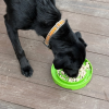 Garden Design eTray - Shallow Slow Feeder Dog Bowl for Enrichment