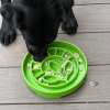Garden Design eTray - Shallow Slow Feeder Dog Bowl for Enrichment
