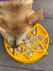 Sunflower eTray Shallow Slow Feeder Dog Bowl for Enrichment
