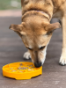 Sunflower eTray Shallow Slow Feeder Dog Bowl for Enrichment