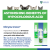 Healers Skin & Coat Grooming Solution